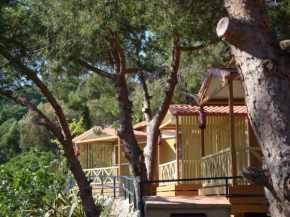 Holiday home in Calella de la Costa 3641